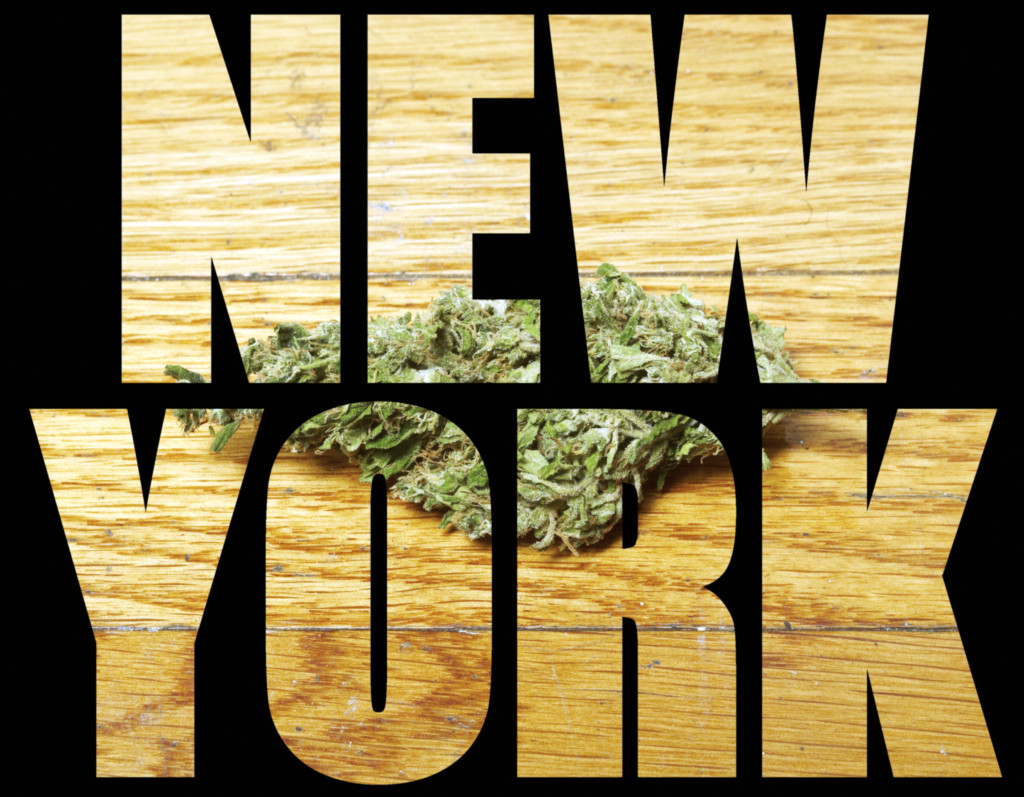 What Will Legal Cannabis Look Like In New York Cannabis Business   Shutterstock 169841348 